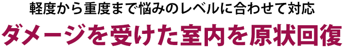 一滴の血液から一番酷い状態まで徹底洗浄